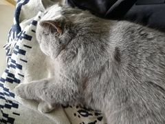 -平行世界·猫咖(首经贸店)