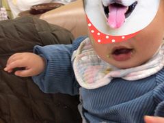 -蜜肆动物奶油蛋糕·个性定制·下午茶甜品