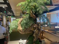 -海底捞火锅(太原万科城店)