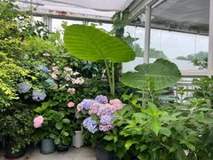 -小时光咖啡馆(北锣鼓巷店)