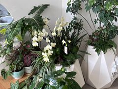 -自由生长植物工作室(深港花卉中心店)
