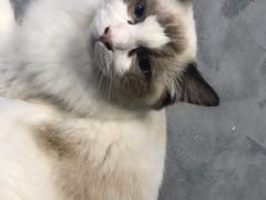 -零纪元VR体验馆·桌游(黄浦店)