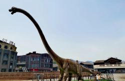 -恐龙探索乐园(磁器口店)