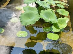 -诗莉莉·厚德堂私房菜