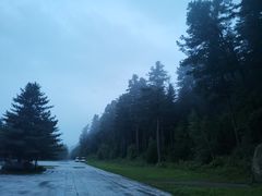 -五营红松林海景区