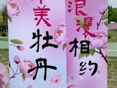 -太阳宫公园
