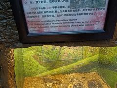 -上海大自然野生昆虫馆(东方明珠·爬宠昆虫探索中心)