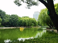 -团结湖公园