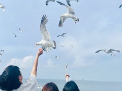 -海驴岛(荣成市)