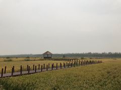-西青郊野公园