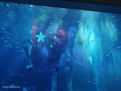 -南昌融创海世界