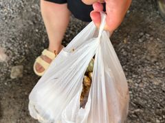 -拉威海鲜市场