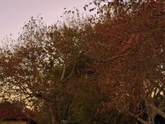 -青岛第三海水浴场