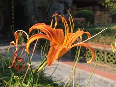 -广州神农草堂中医药博物馆