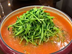番茄汁豌豆苗-苏城小院·园林精致苏州菜(斜塘老街店)