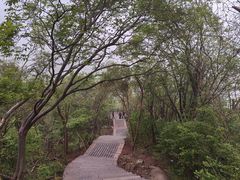 -紫金山山顶公园