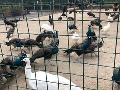 -韶关经律论国际酒店温泉