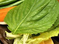 -本家·添百客韩国料理(泰然店)