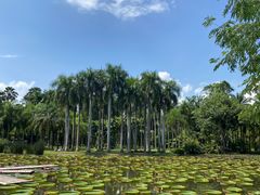 -中国科学院西双版纳热带植物园