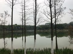 -东莞植物园