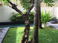 iphone_upload_pic-水明漾大酒店 - 巴厘岛精品生活方式度假村