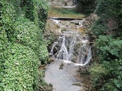 -南海湾森林生态园