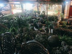 -山菌美食苑(振兴路店)