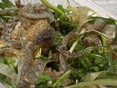 -陈添記·祖傳爽鱼皮·西关老字号(广州首店)