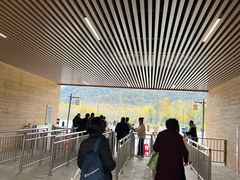 -千年银杏谷文化旅游区