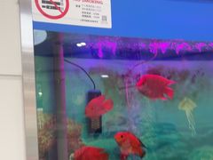 -雅悦齿科(顾村公园店)