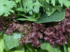 -千牛将·鲜牛肉火锅(开元路店)