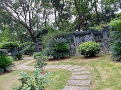 -深圳仙湖植物园