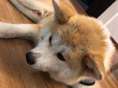 -YCHL Studios健身工作室(市二宫店)