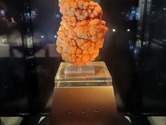 -中国地质大学逸夫博物馆