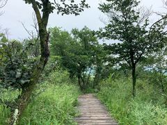 -帽儿山国家森林公园