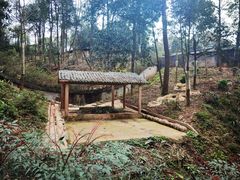 -中国大熊猫保护研究中心雅安碧峰峡基地