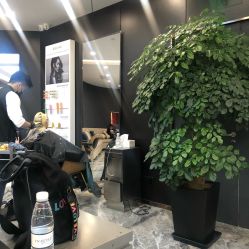 -In Style造型