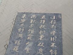 -桃花堤公园