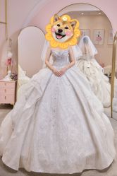 -韩国天使嫁衣婚纱礼服馆(上海旗舰店)