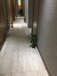 -苑苑vbeauty科技美容SPA