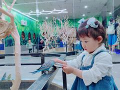 -昆明大悦城未来动物城(螺蛳湾中心店)