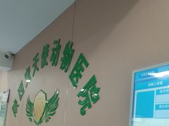 -天使宠物医院·犬猫分诊(彩虹店)