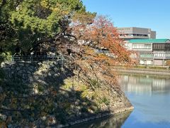 -名古屋城