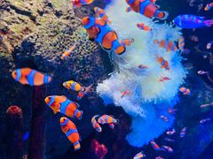 -沈阳海洋探索中心