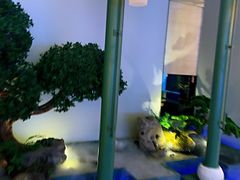 景观位-潮上潮(南中环店)