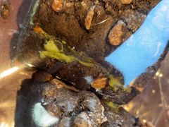 -津乐园(芥园道店)