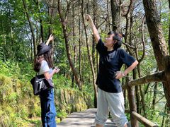 -铁山坪森林公园