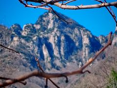 -王顺山国家森林公园