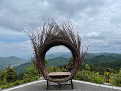 -武陵山森林公园