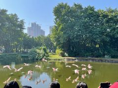 -广州长隆飞鸟乐园